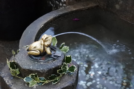 �o���N�[�o�[�V�Q