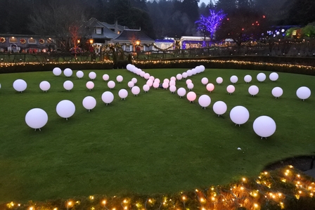 �o���N�[�o�[�V�R