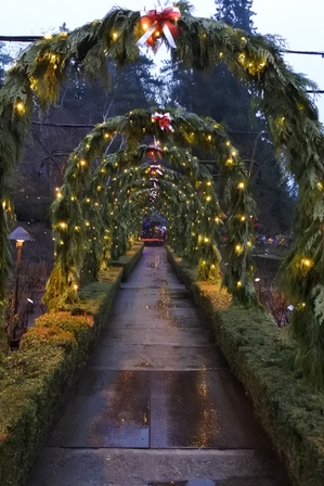 �o���N�[�o�[�V�S