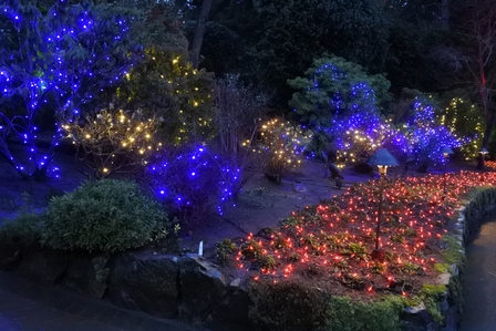 �o���N�[�o�[�V�T