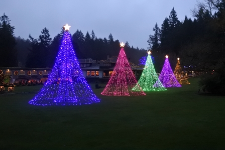 �o���N�[�o�[�V�U