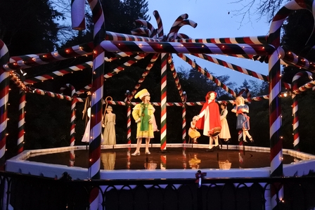 �o���N�[�o�[�V�V