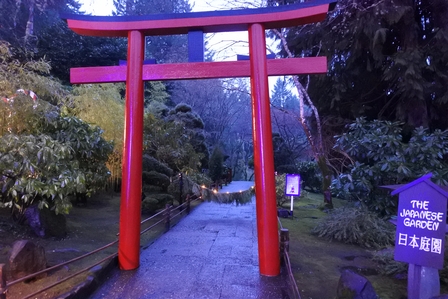 �o���N�[�o�[�V�W