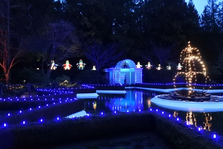 �o���N�[�o�[�W�O