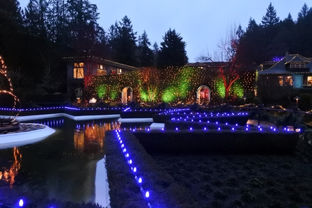 �o���N�[�o�[�W�P