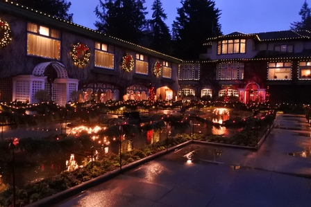 �o���N�[�o�[�W�Q