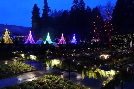 �o���N�[�o�[�W�R