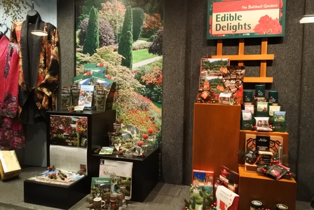 �o���N�[�o�[�W�V