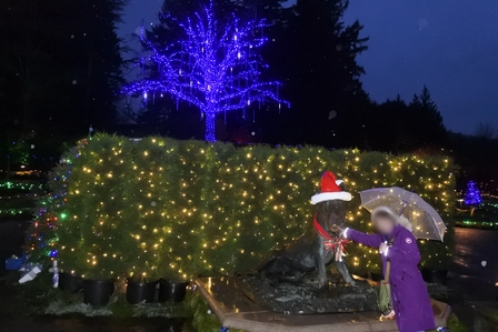 �o���N�[�o�[�X�P