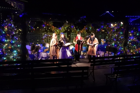 �o���N�[�o�[�X�Q