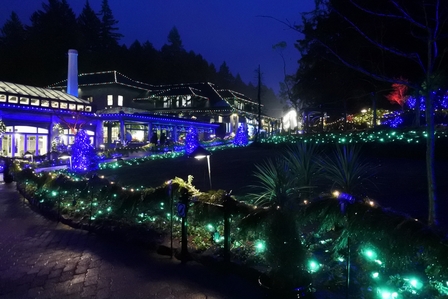 �o���N�[�o�[�X�R