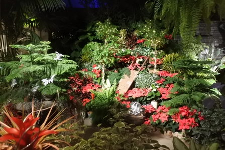 �o���N�[�o�[�X�S