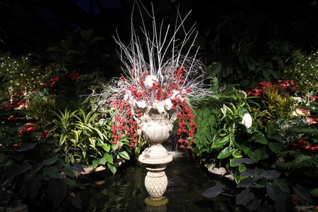 �o���N�[�o�[�X�T