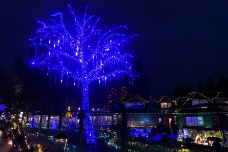 �o���N�[�o�[�X�U