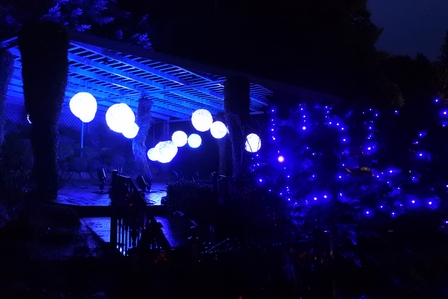 �o���N�[�o�[�X�V