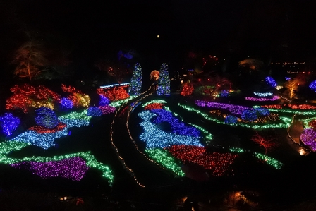 �o���N�[�o�[�X�W