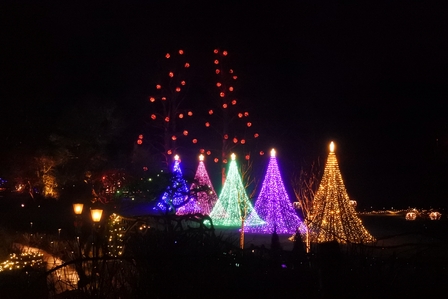 �o���N�[�o�[�P�O�O