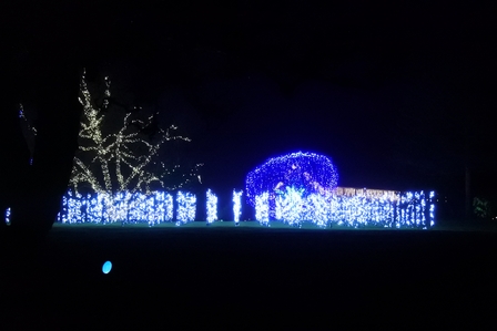 �o���N�[�o�[�P�O�P