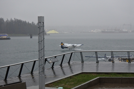 �o���N�[�o�[�S