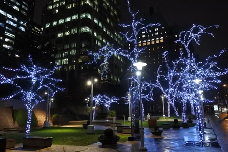 �o���N�[�o�[�T�Q