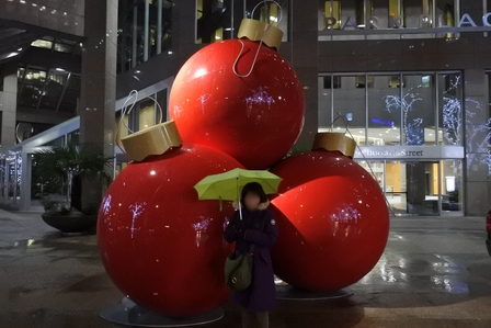 �o���N�[�o�[�T�R