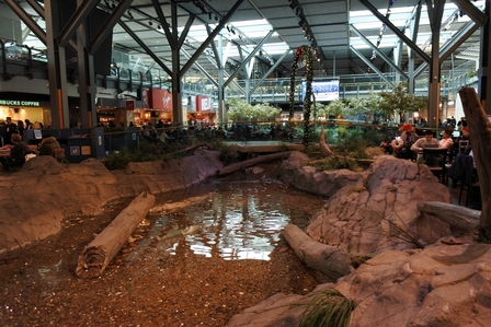 �o���N�[�o�[�P�V