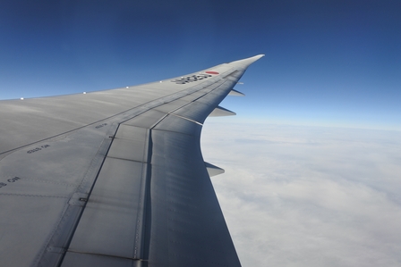 �o���N�[�o�[�Q�X