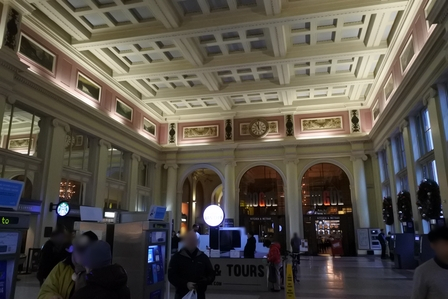 �o���N�[�o�[�T