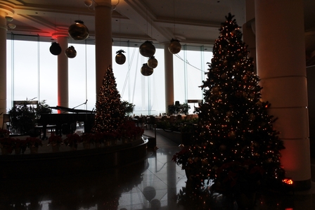 �o���N�[�o�[�W