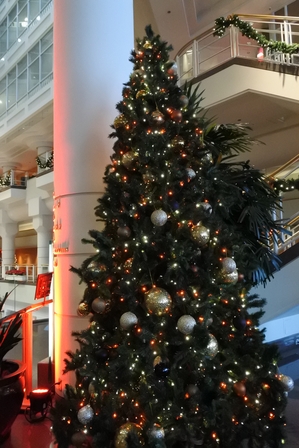 �o���N�[�o�[�X