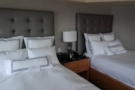 �o���N�[�o�[�Q�P