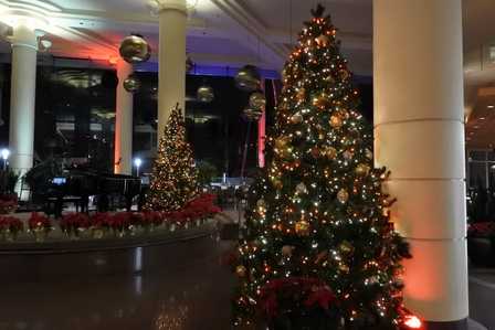 �o���N�[�o�[�R�U