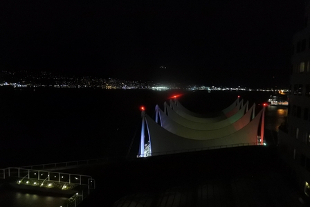 �o���N�[�o�[�R�X