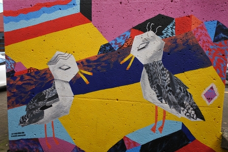 �o���N�[�o�[�R�O