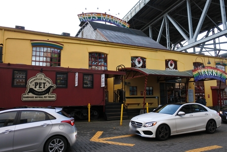 �o���N�[�o�[�S�O