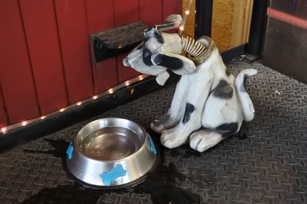 �o���N�[�o�[�S�P