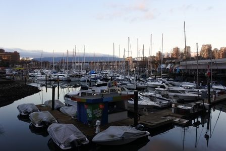 �o���N�[�o�[�S�Q