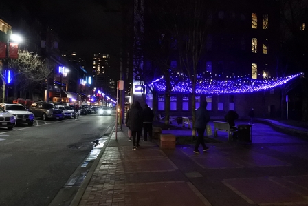 �o���N�[�o�[�T�P