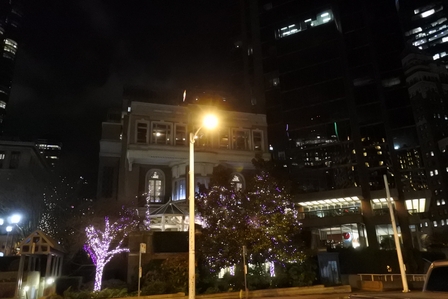 �o���N�[�o�[�T�T