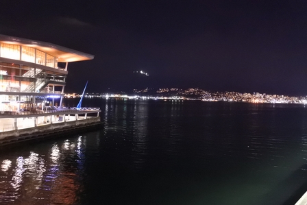 �o���N�[�o�[�T�W