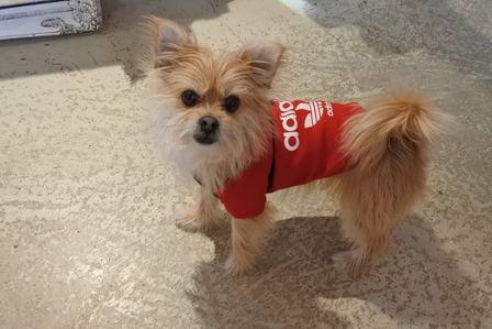 �o���N�[�o�[�X