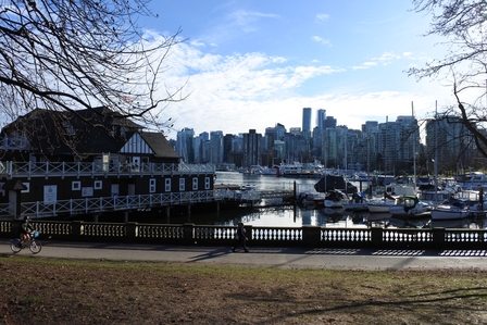 �o���N�[�o�[�P�P