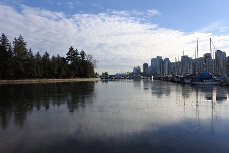 �o���N�[�o�[�P�T