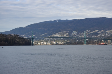 �o���N�[�o�[�Q�W