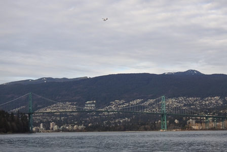 �o���N�[�o�[�R�S