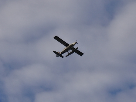 �o���N�[�o�[�R�T