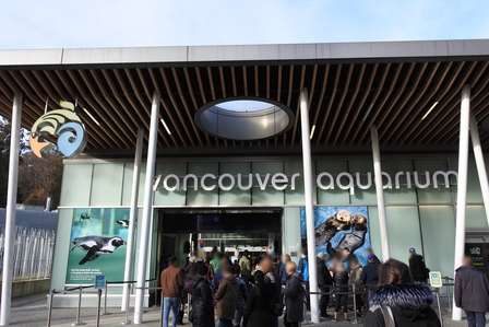 �o���N�[�o�[�R�X