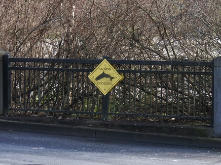 �o���N�[�o�[�S�O