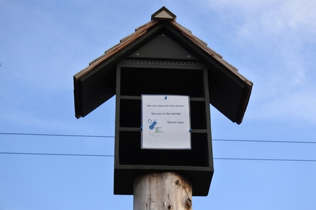 �o���N�[�o�[�S�T