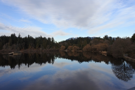 �o���N�[�o�[�S�W